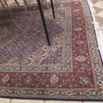 620 5544 ORIENTAL RUG